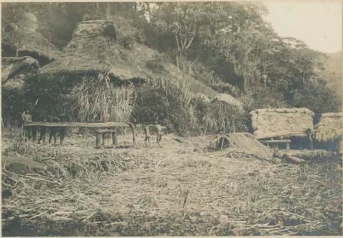 Sugar mill in operation