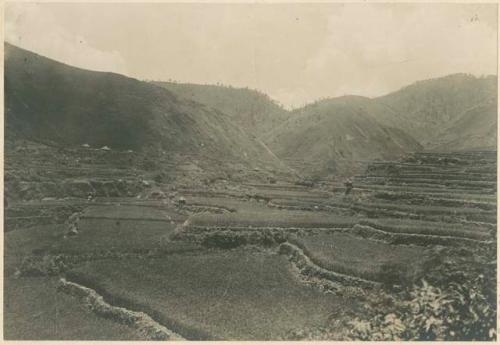 Rice terraces above the town of Kabayan