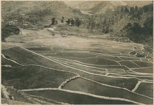 Rice terraces at Mayinit