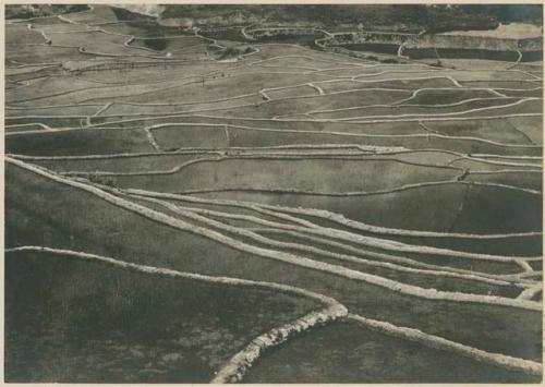 Rice terraces at Mayinit