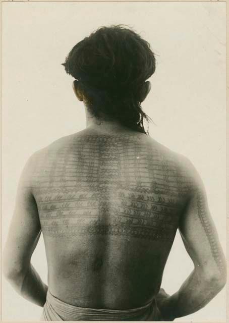 Posterior of tattooed Bontoc Igorot man