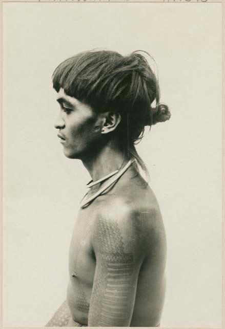 Profile of tattooed Bontoc Igorot man