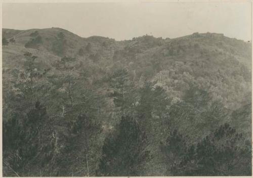 Hill on which is located the Igorot burying ground for Baguio