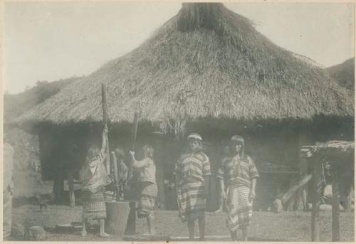 Igorot women hulling rice