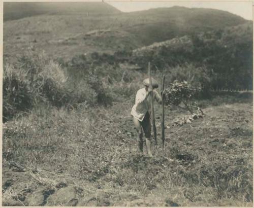 Igorot man turning sod