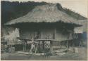 Igorot child and pigs in front of house