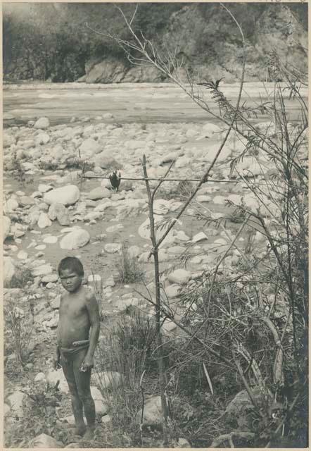 Igorot boy with snare for catching birds