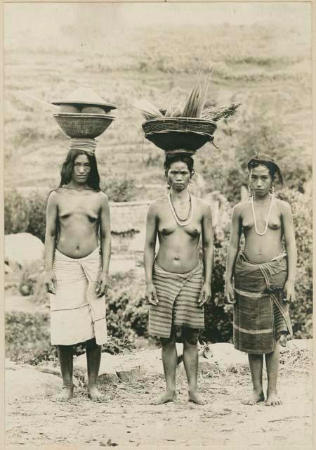 Three Bontoc Igorot women, posed in field