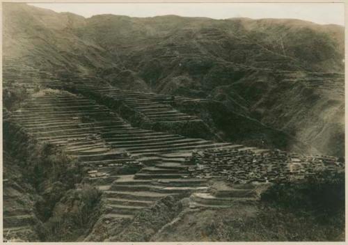 Rice terraces in Sumader, a town in the province of Bontoc