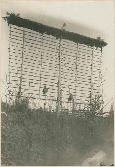 Drying rack for rice