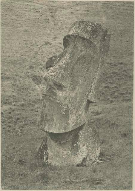 Moai on the outer face of the rim of Rano Raraku