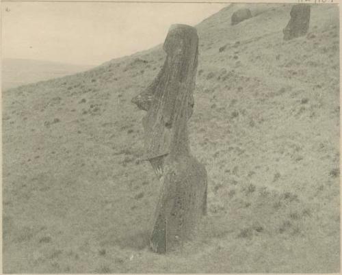 Moai on the west face of the rim of Rano Raraka