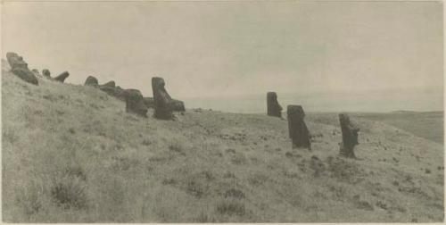 Moai on the southwest face of the outer rim of Rano Raraka