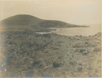 Image representation for Rapa Nui Photo/Archival