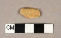 Unidentified bone fragment