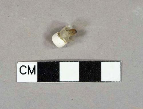 Colorless glass fragment, possible light bulb fragment