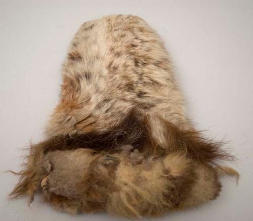 Fur mitten