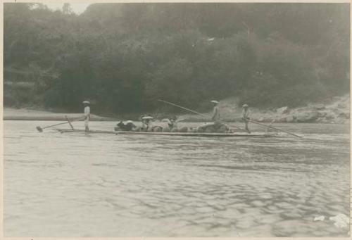 Rafts on the Abra River