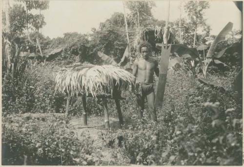 Man building shelter to protect rice