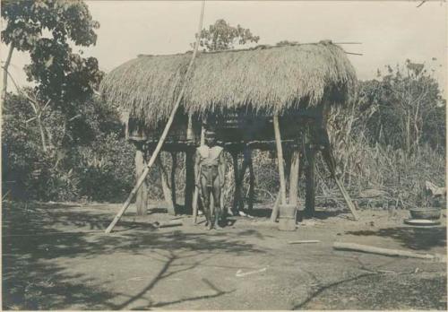 Traditional Kalinga hut occupied by crop harvesters