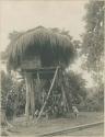 Traditional Kalinga hut