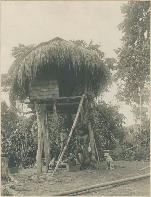 Traditional Kalinga hut
