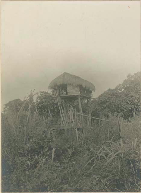 Kalinga tree-house