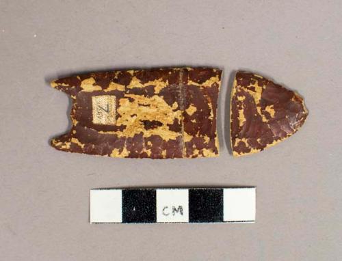 CAST, 2 fragments, projectile point, fluted