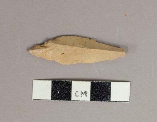 Flint saw blades, perforators, and other worked flints