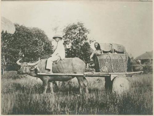 Ilocano man and woman using cart, frequently used for transportation in Isabela