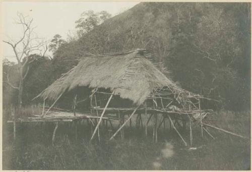 Upper class hut, photographed during rainy season