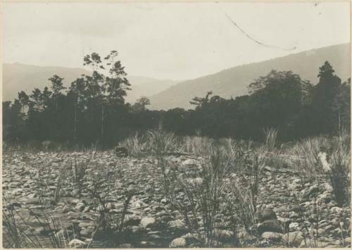 River scenery in Mindoro