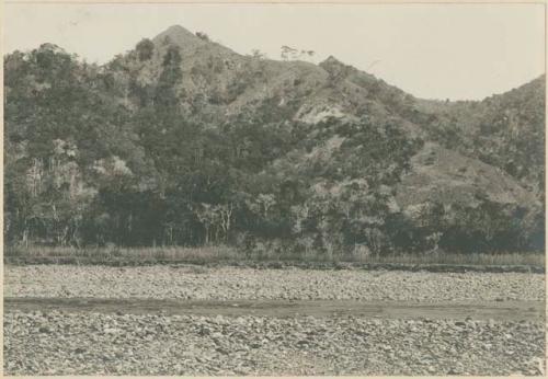 River scenery in Mindoro