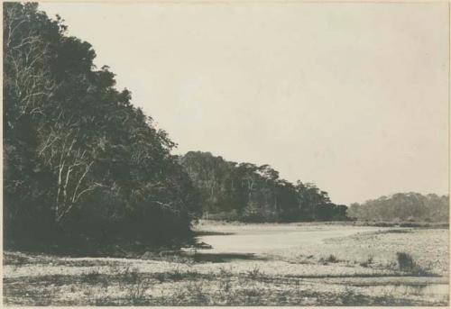 River scenery in Mindoro\