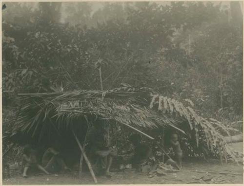 Shelter made by Subanos while traveling to secure pith from anibung plant