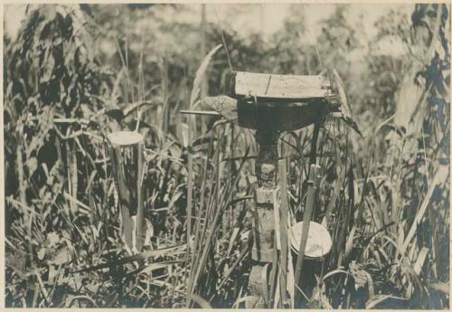 Subano offering to spirits (Diwata)