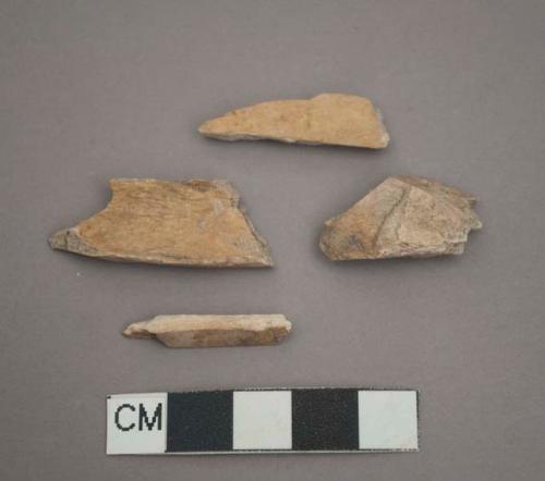 Faunal remains, fragments