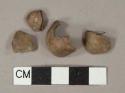 Nut fragments, likely hazelnut or acorn