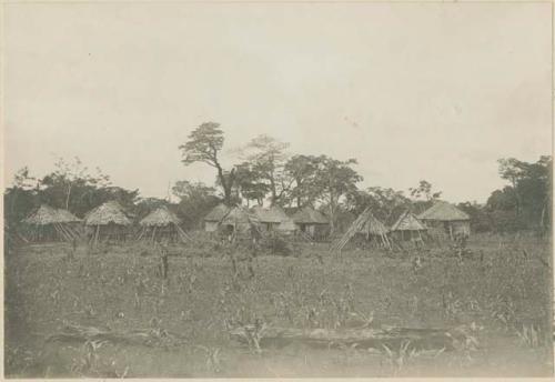 Lalauigan homes and corn growing