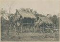 Traditional Mangyan homes at Banganay