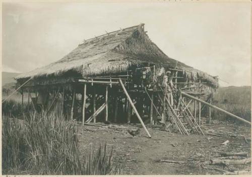 Typical Subano house