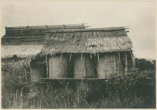 Rice granaries