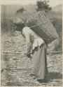 Subano man carrying a basket