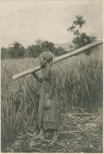 Subano woman carrying bamboo