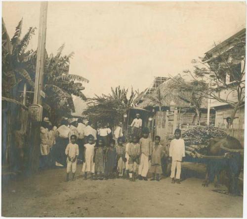 Crowd, children, bull cart in foreground