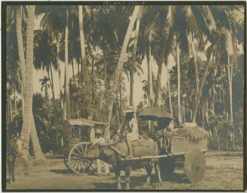 Two men, woman with umbrella, cart