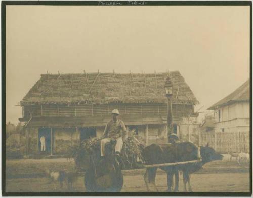 Three men, bull cart, thatch-roofed building