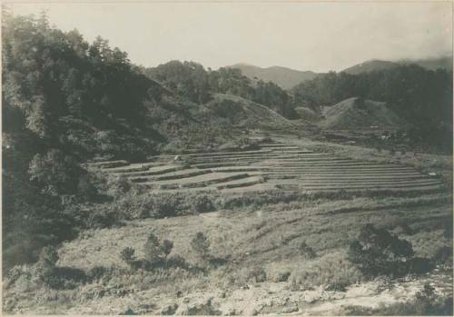 Rice terraces at Balbalasan