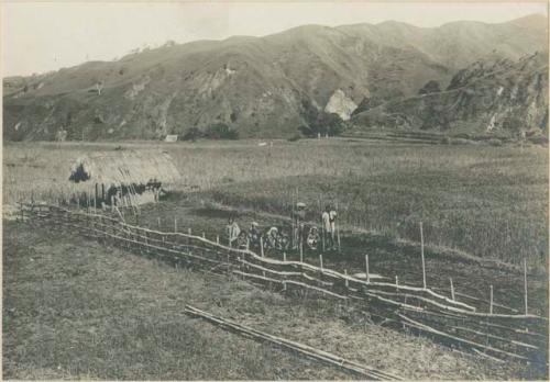 Tinguian people planting rice at Balbalasan