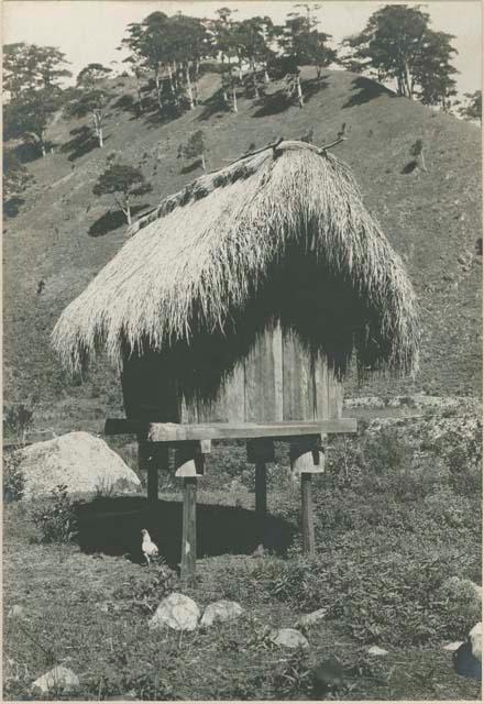 Rice granary at Balbalasan